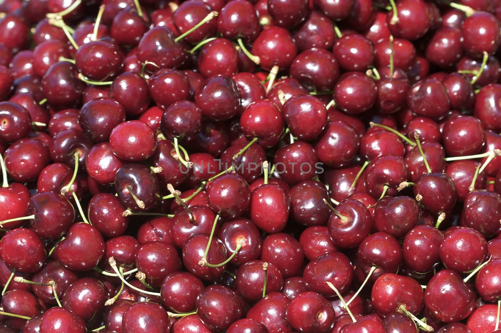 A shot of cherries at the market.