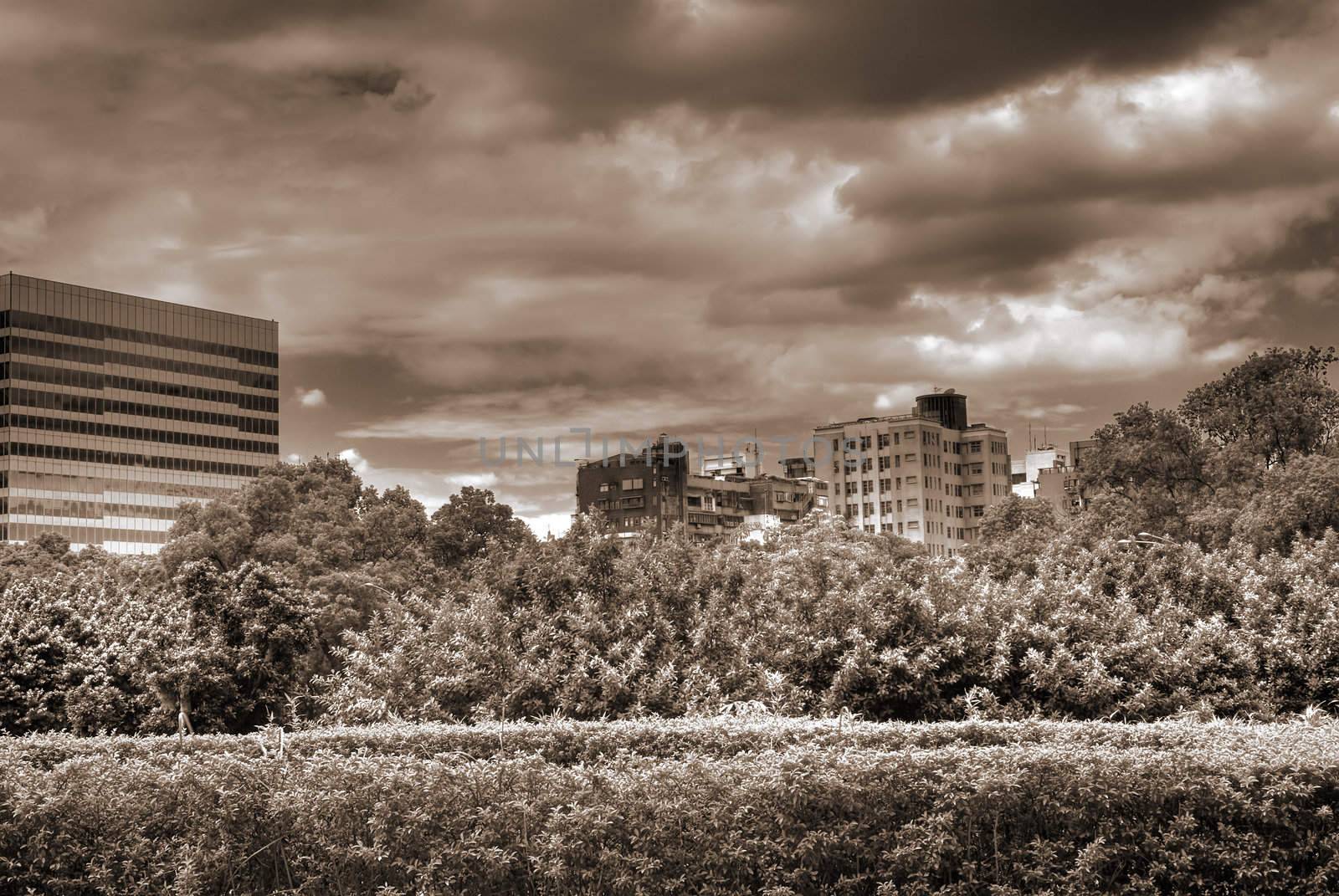 Beautiful cityscape with garden and trees in Taipei.