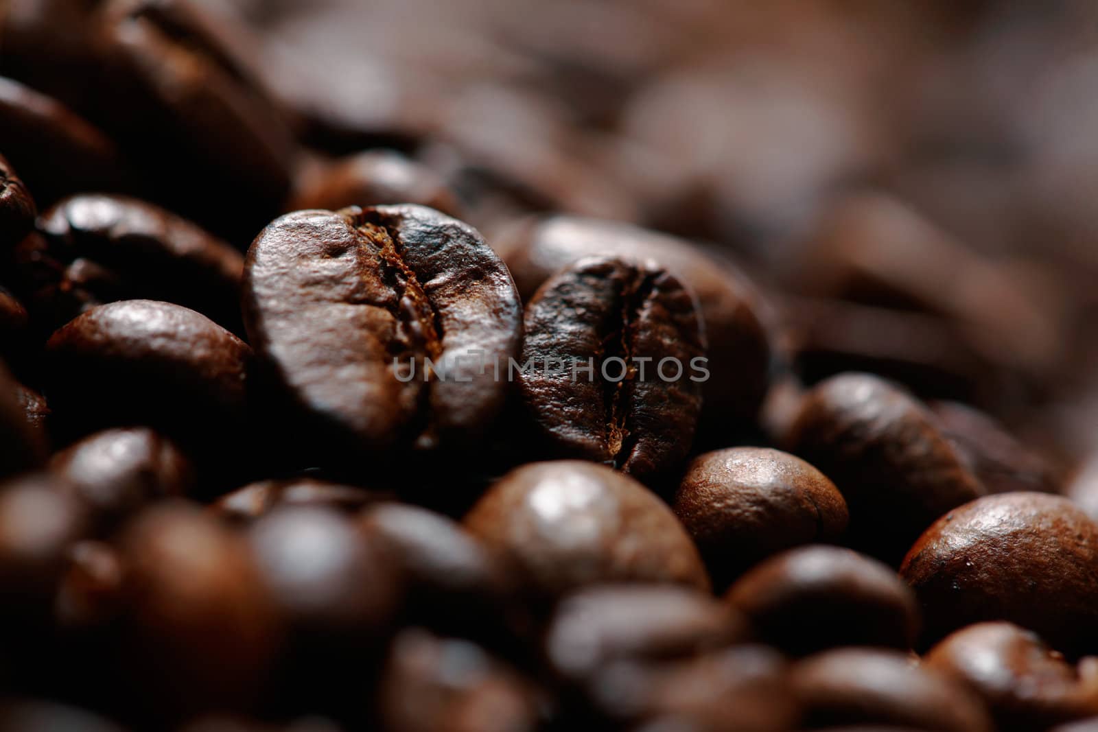 Coffee Beans. Selective focus