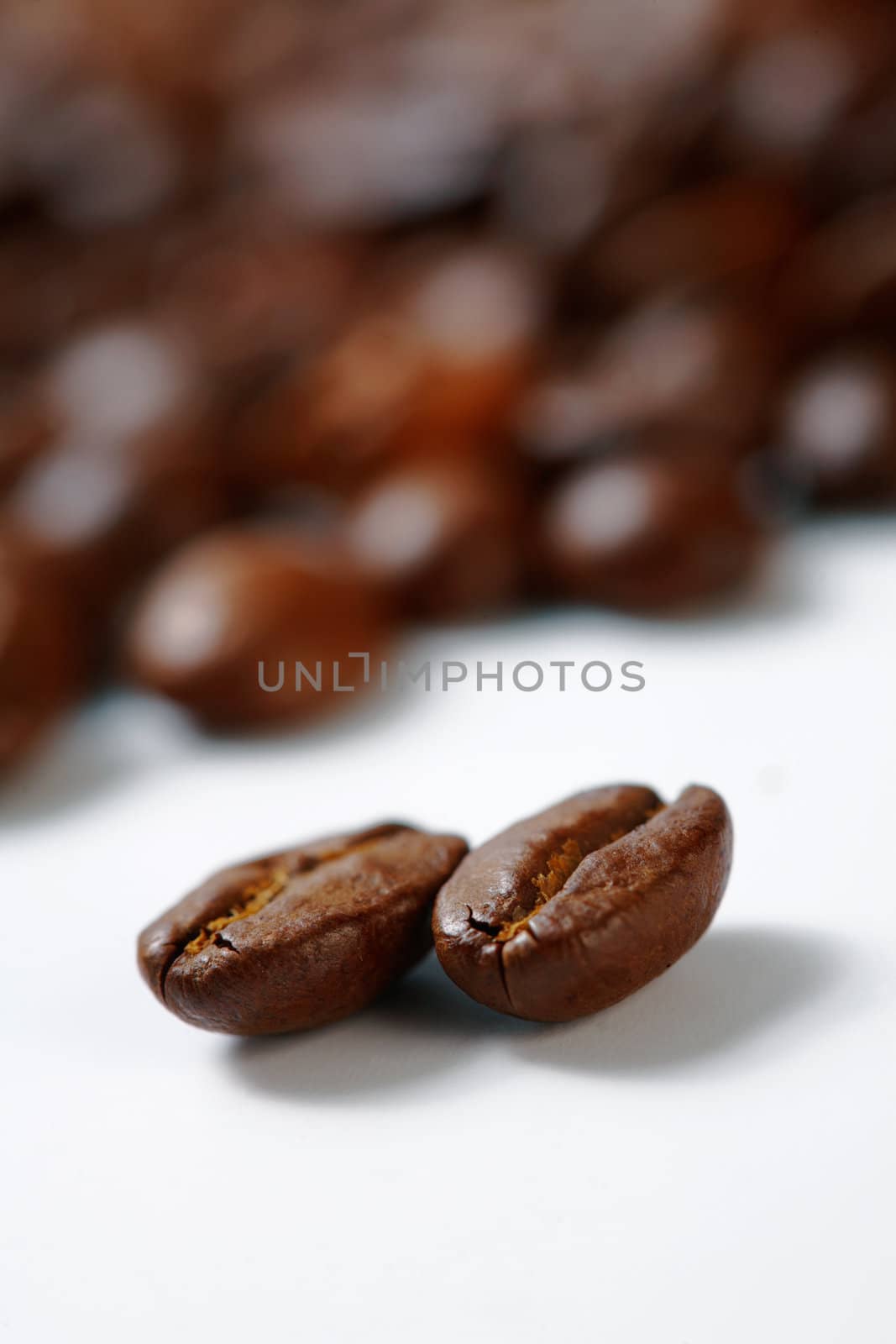 Coffee Beans. Selective focus. On white background. 