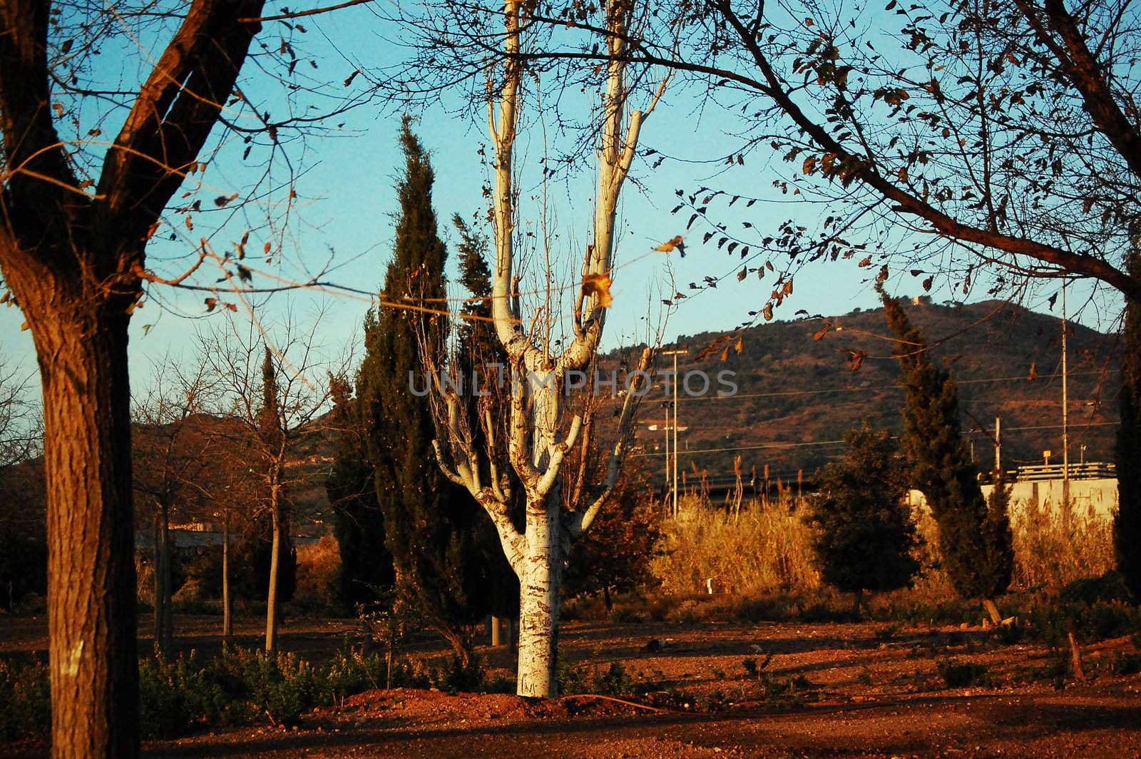 paisaje con montañas al fondo