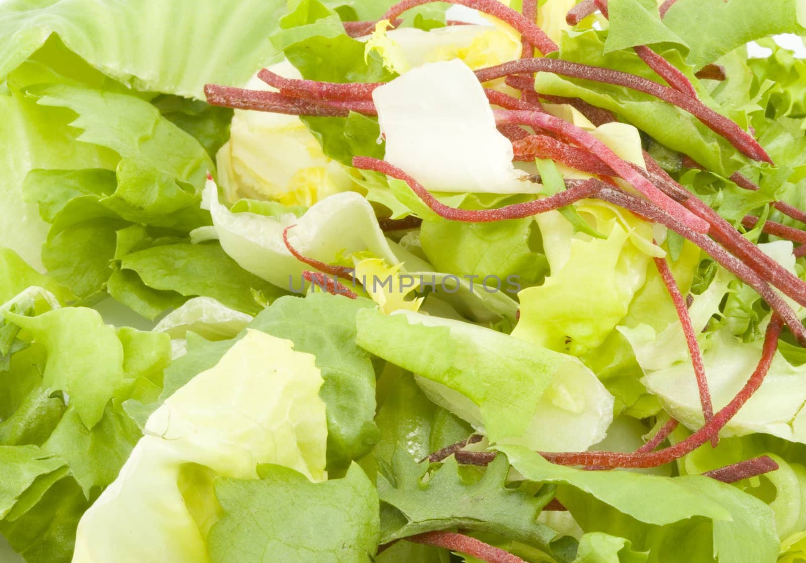 lettuce green salad - healthy eating - vegetables - close up