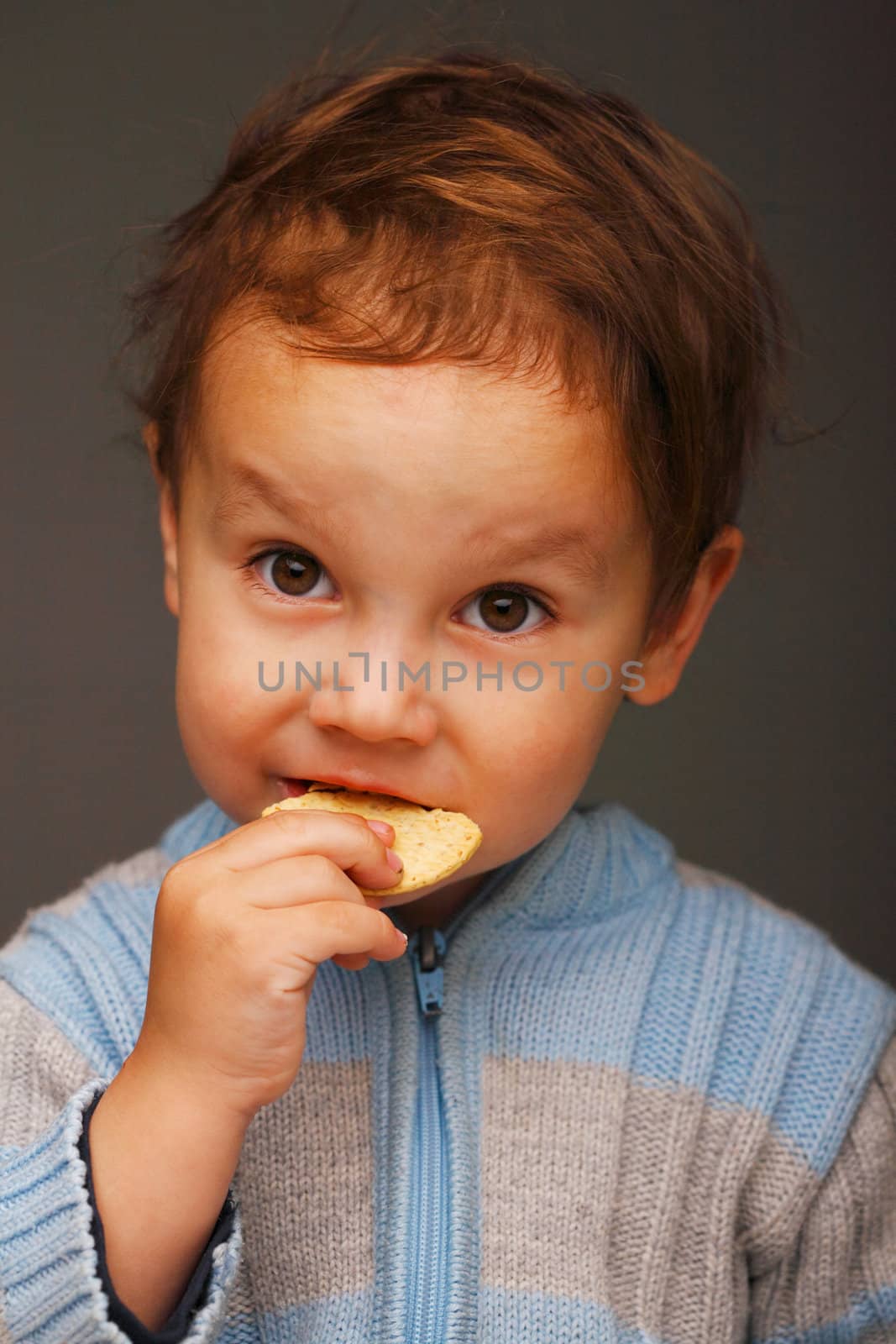 Portrait of a little boy in a blue sweater eating a cookie, open attentive look