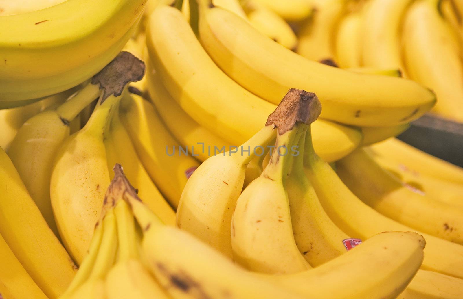 A display of yellow bunches of Bananas in a Grocery Store.