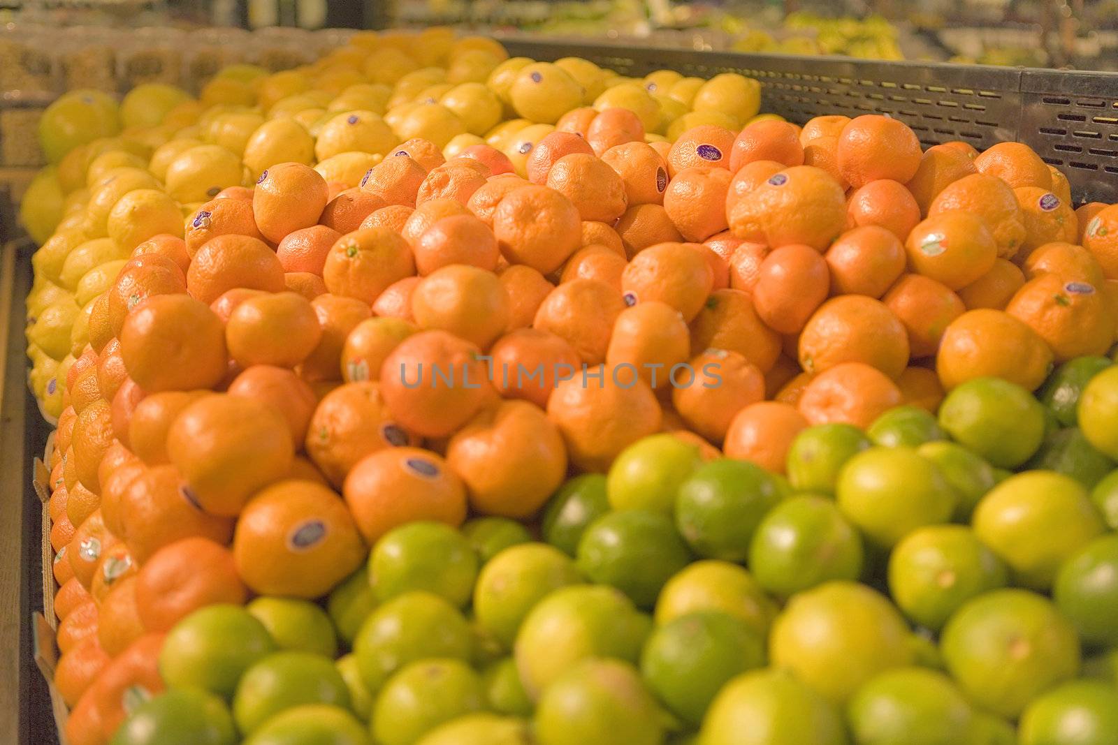 A display of fruits in a Grocery Store with Lemona,Tangerines and Limes.