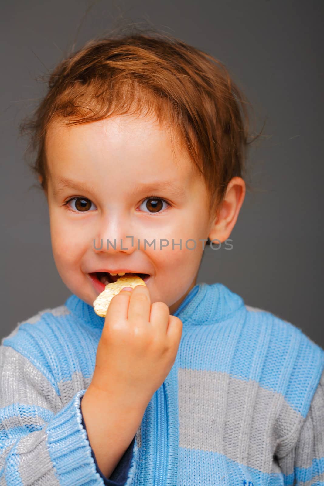 Little boy in a blue sweater eating a cookie