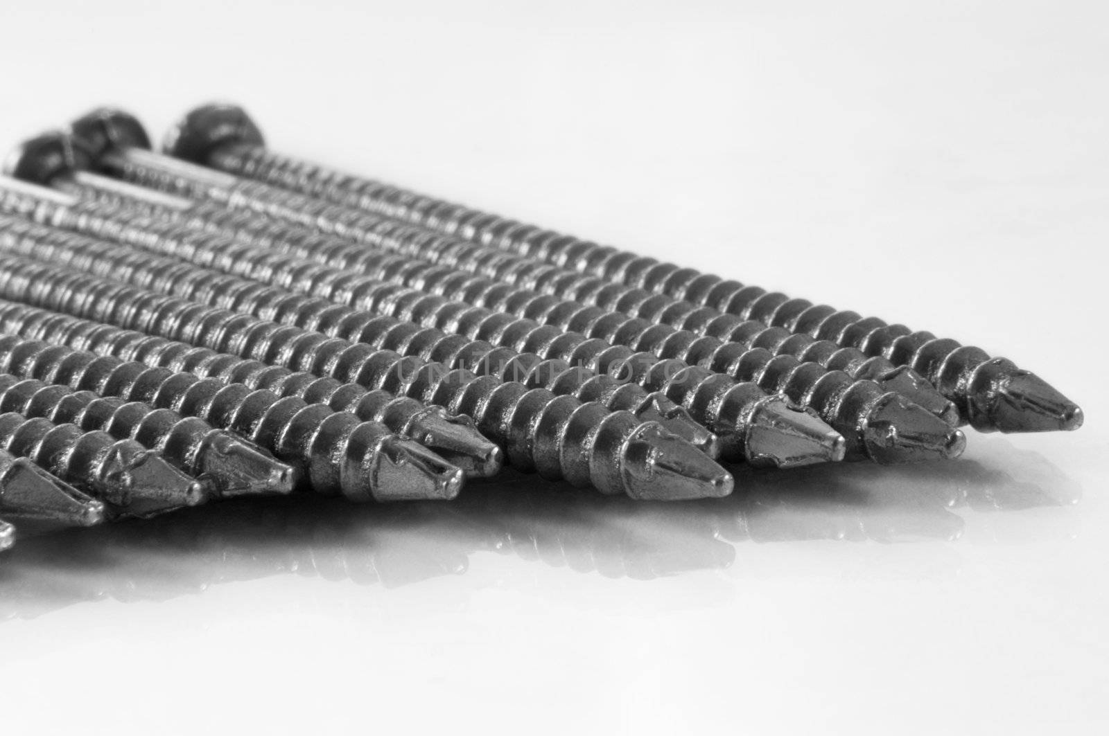 Close and low level angle capturing the tips of a group of steel nails arranged over white.