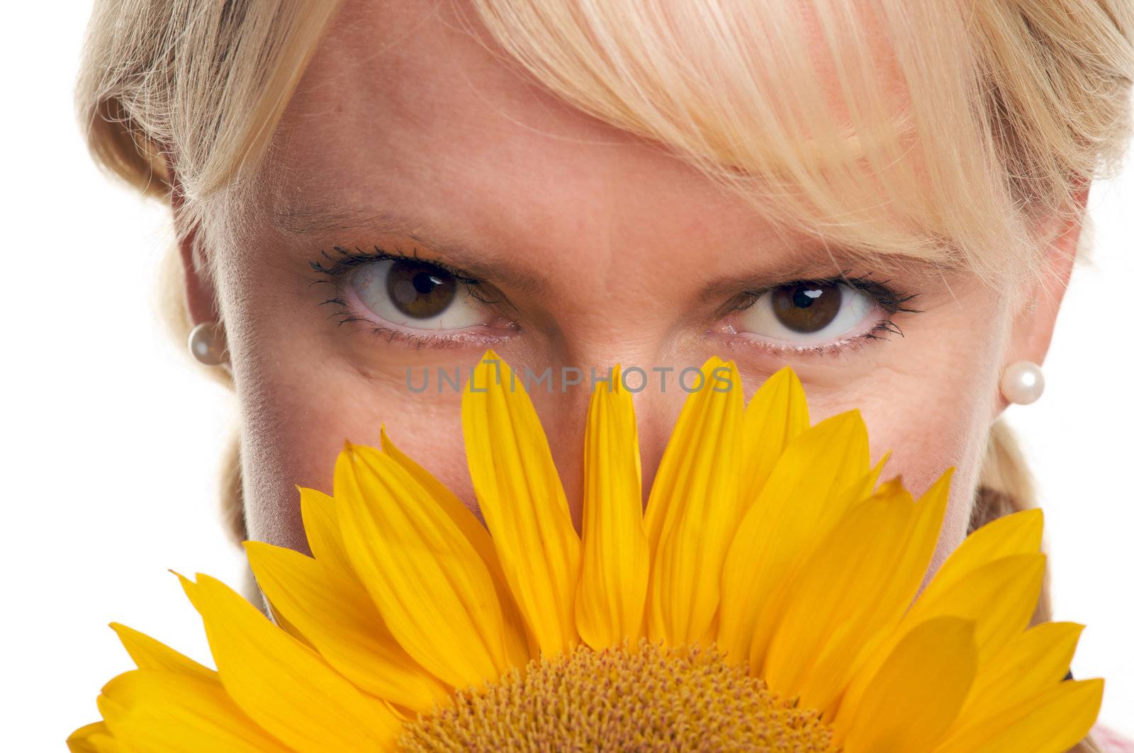 Attractive Blond and Sunflower isolated on a White Background.