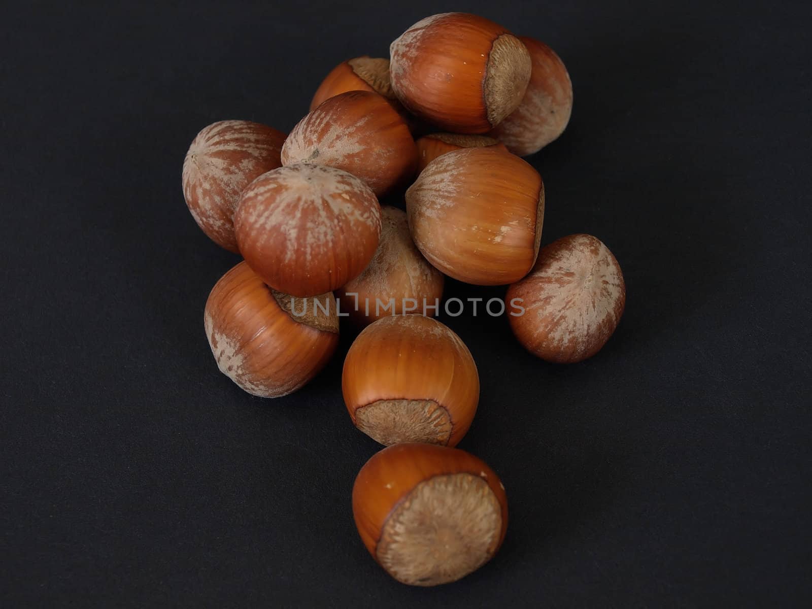 A group of 13 hazelnuts isolated against a black background.