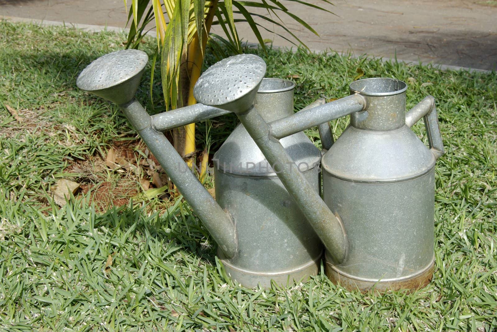 Two metal galvanized watering cans standing on a green lawn