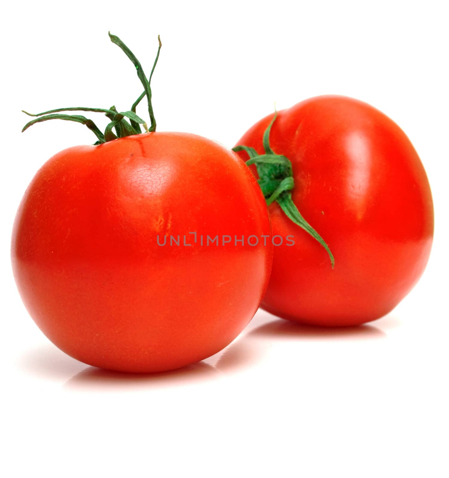 Two juicy fresh tomatoes on white. Isolation.