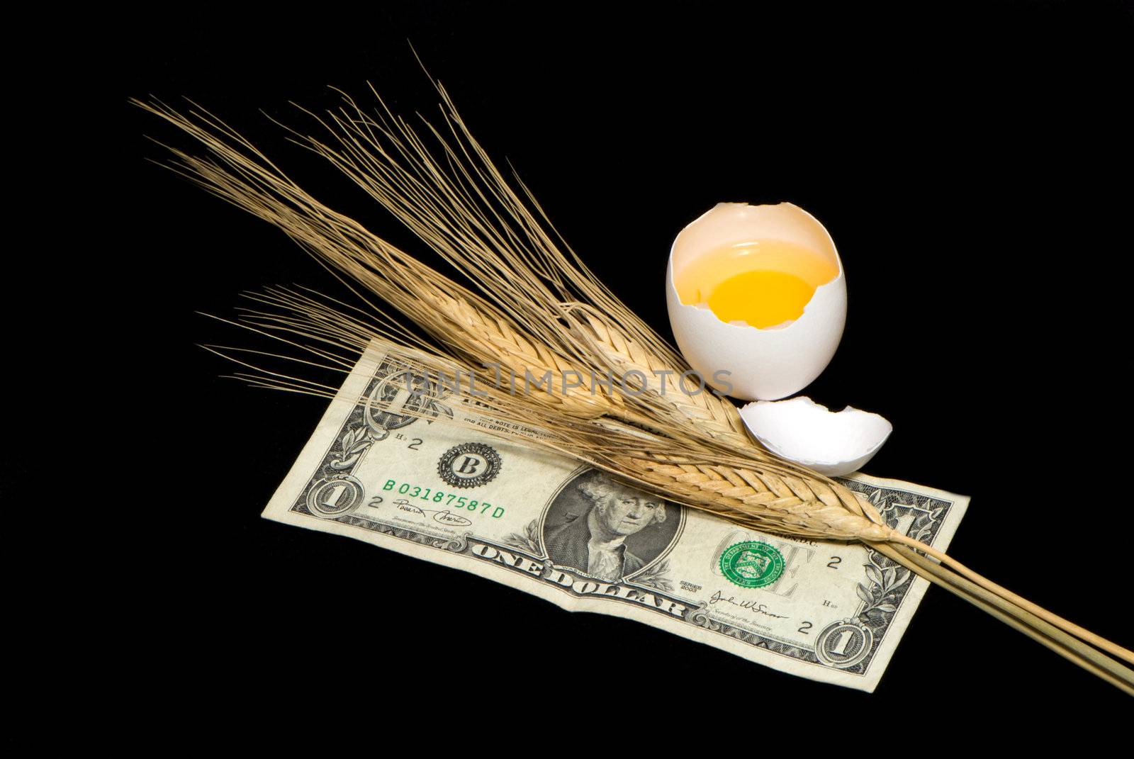 Wheat ears, egg and one dollar on a black background