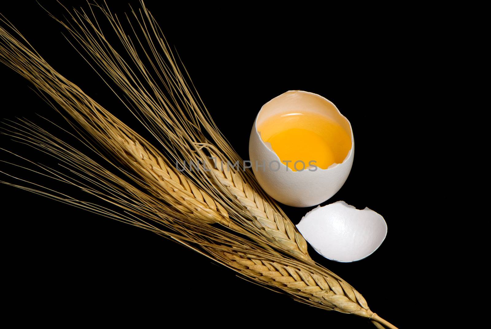 Ears of wheat and egg on a black background