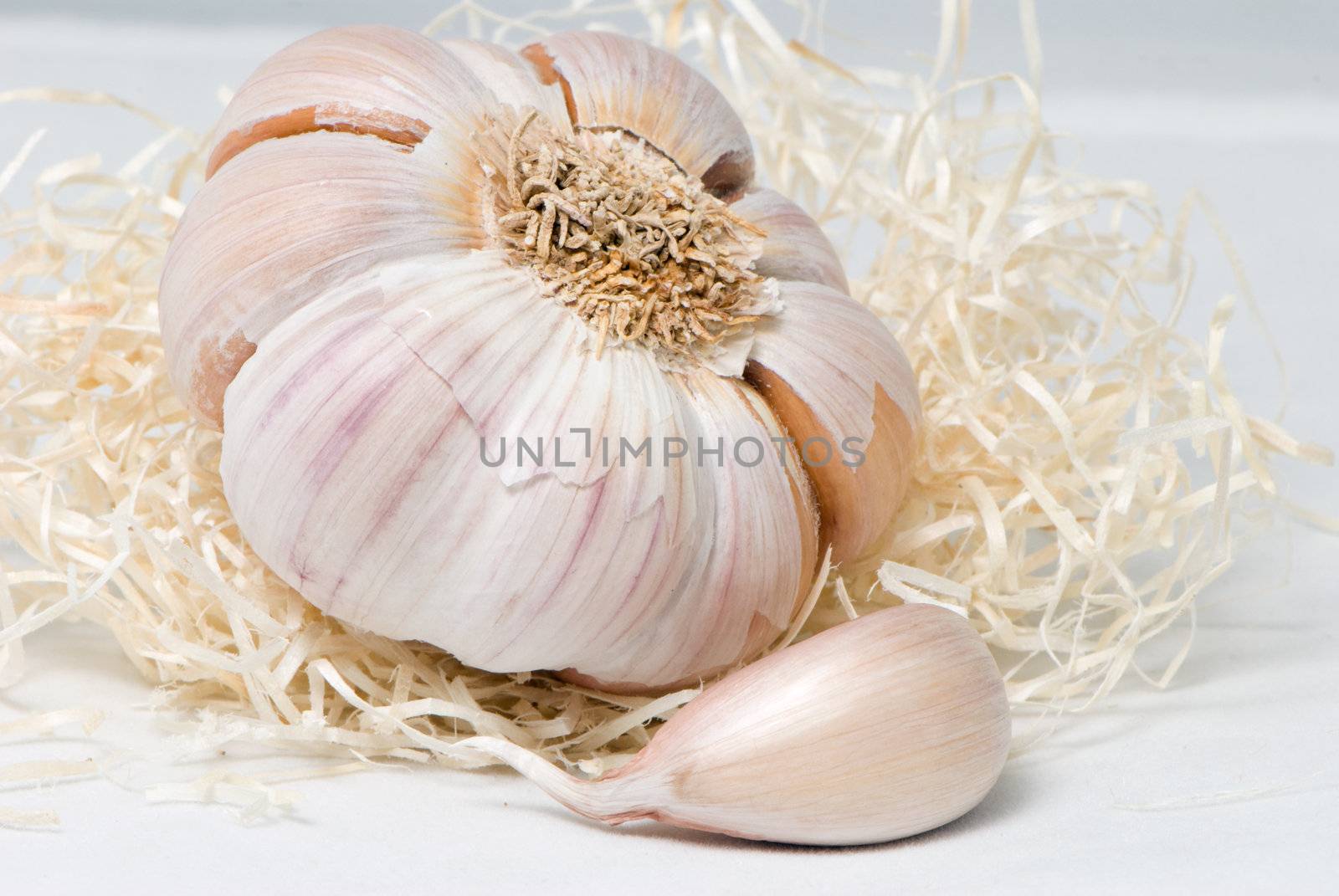 Garlic on a light background