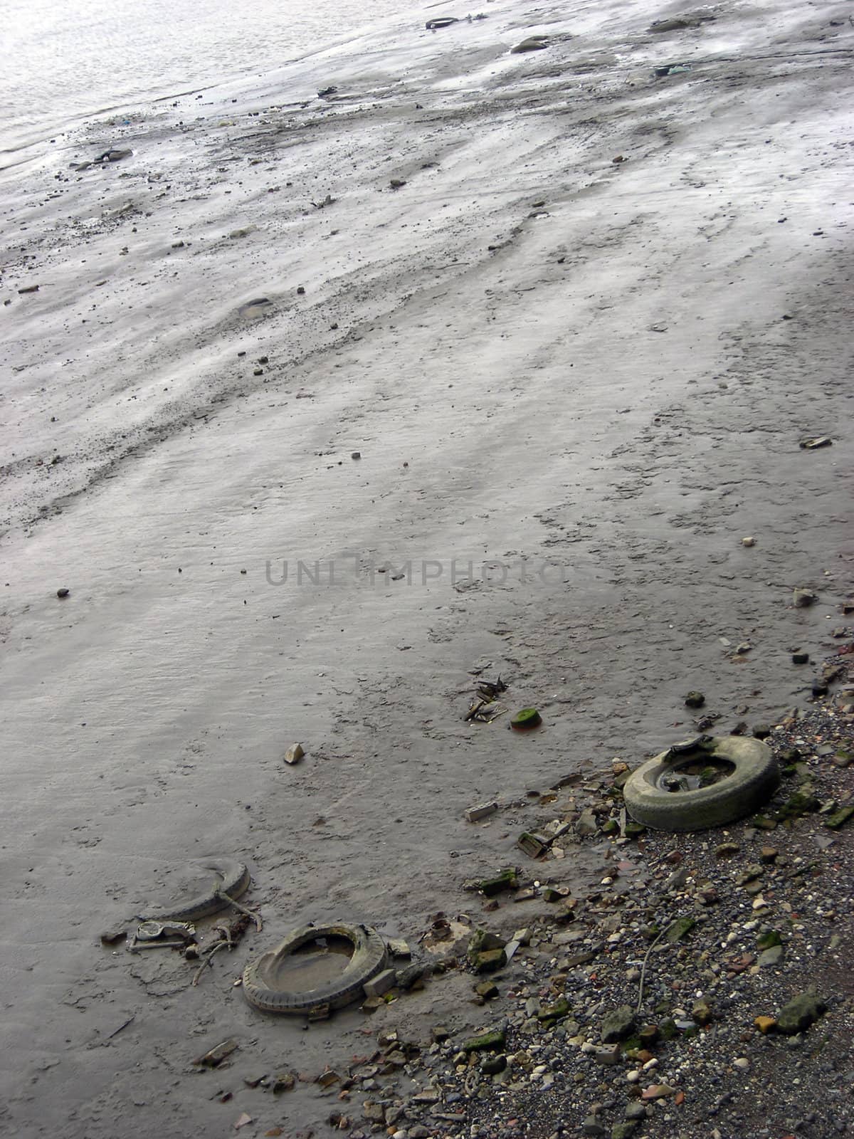 Contamination on the Thames bank opposite to the University of Greenwich, London, UK.