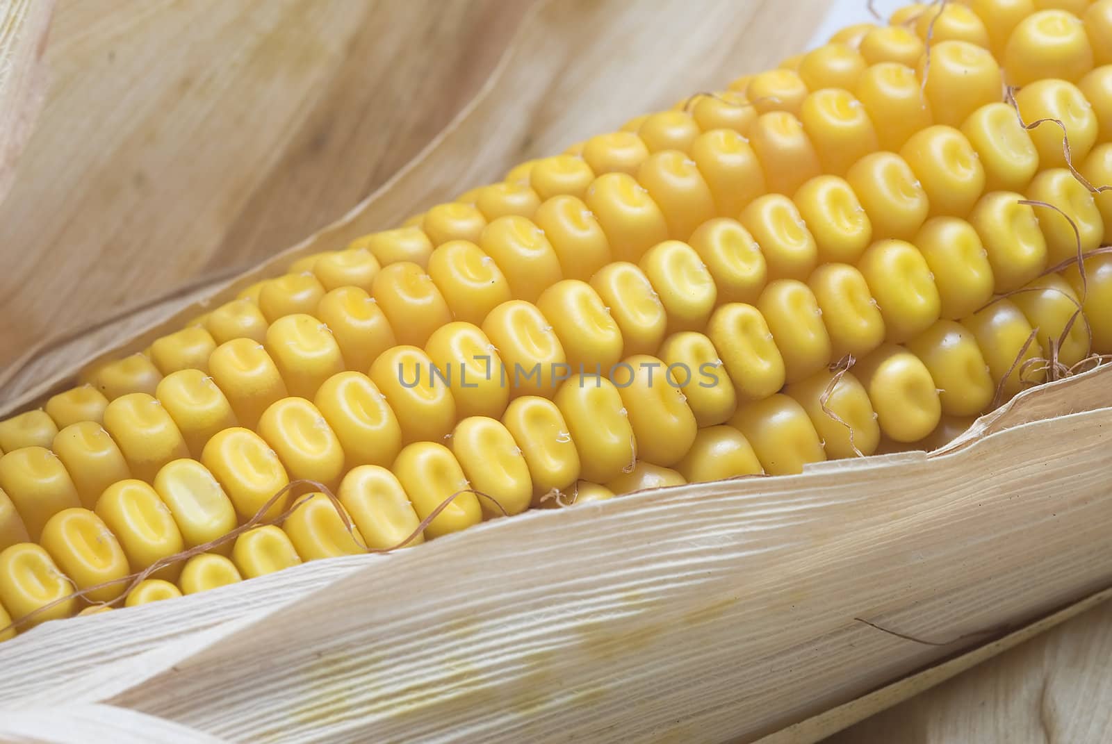 A close up of a dried corncob.