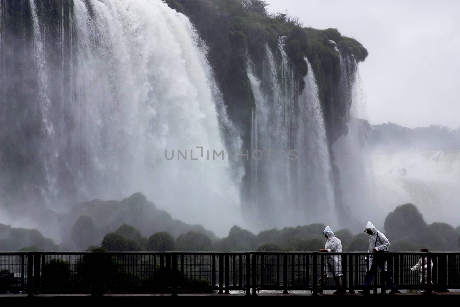 Iguazu Falls by cspcsp