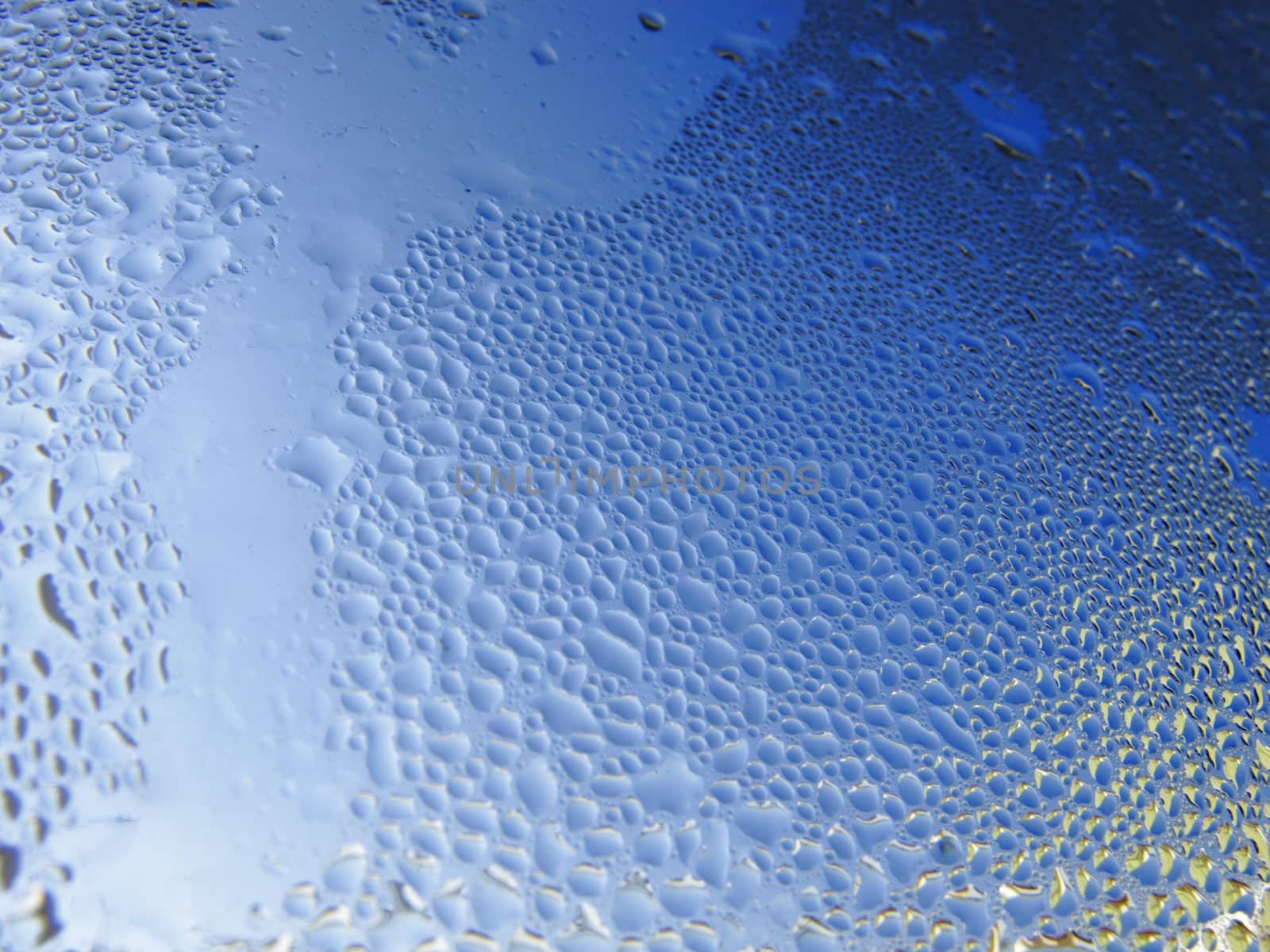 drops of water in a window