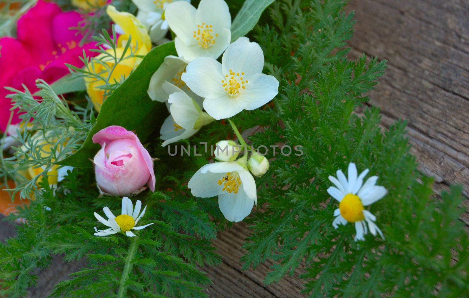 colorful close-up of rural spring bouquet against old grey board