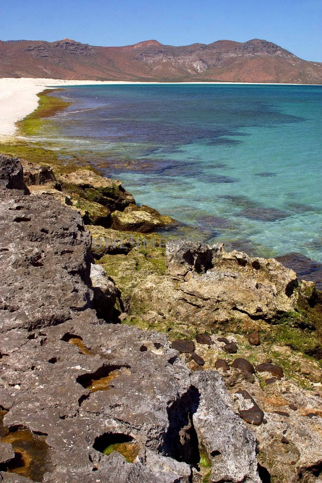 Espiritu Santo Island in Baja California Sur in Mexico