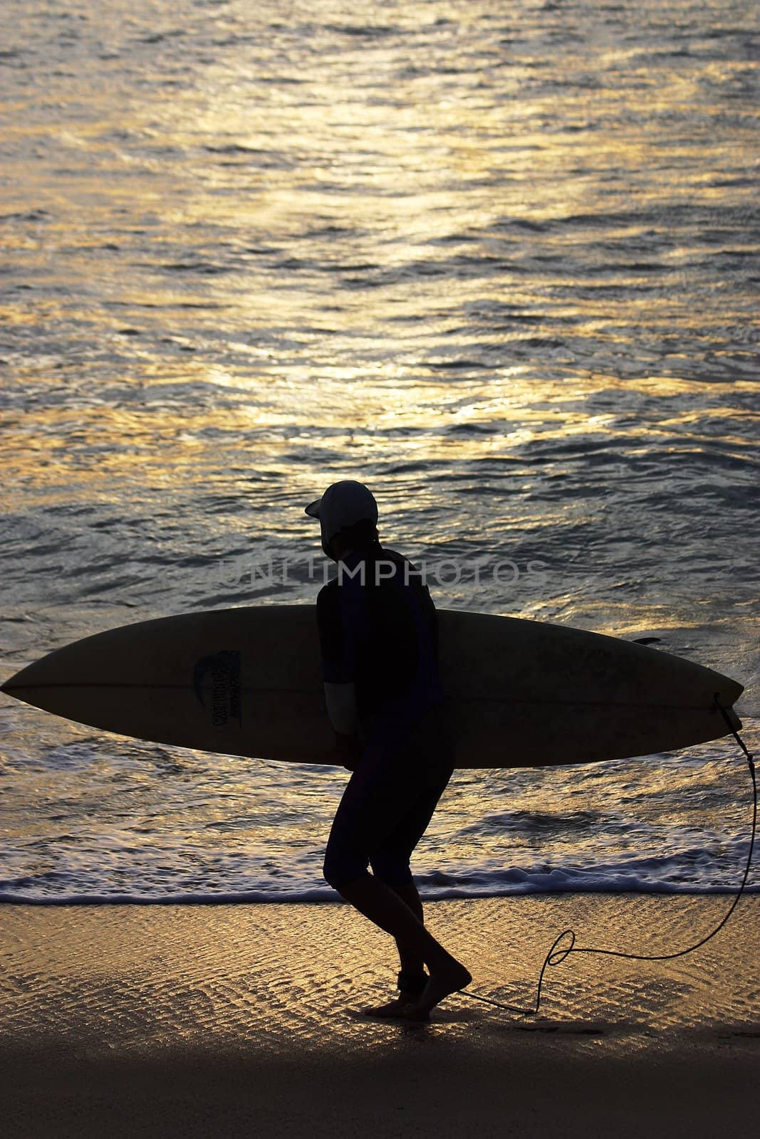 Surf in Los Cabos, Baja California Sur, Mexico
