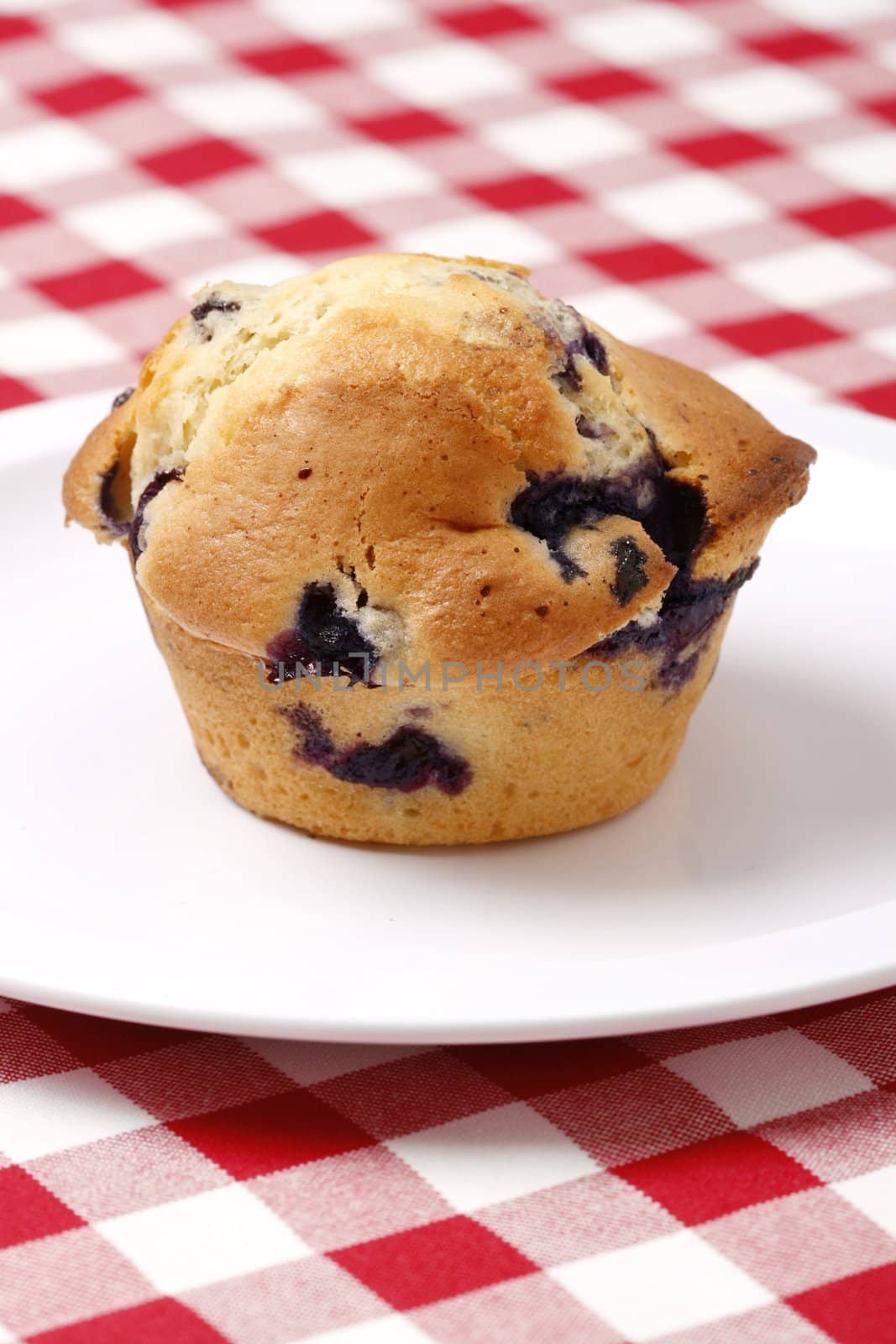 Delicious and freshly made blueberry muffin