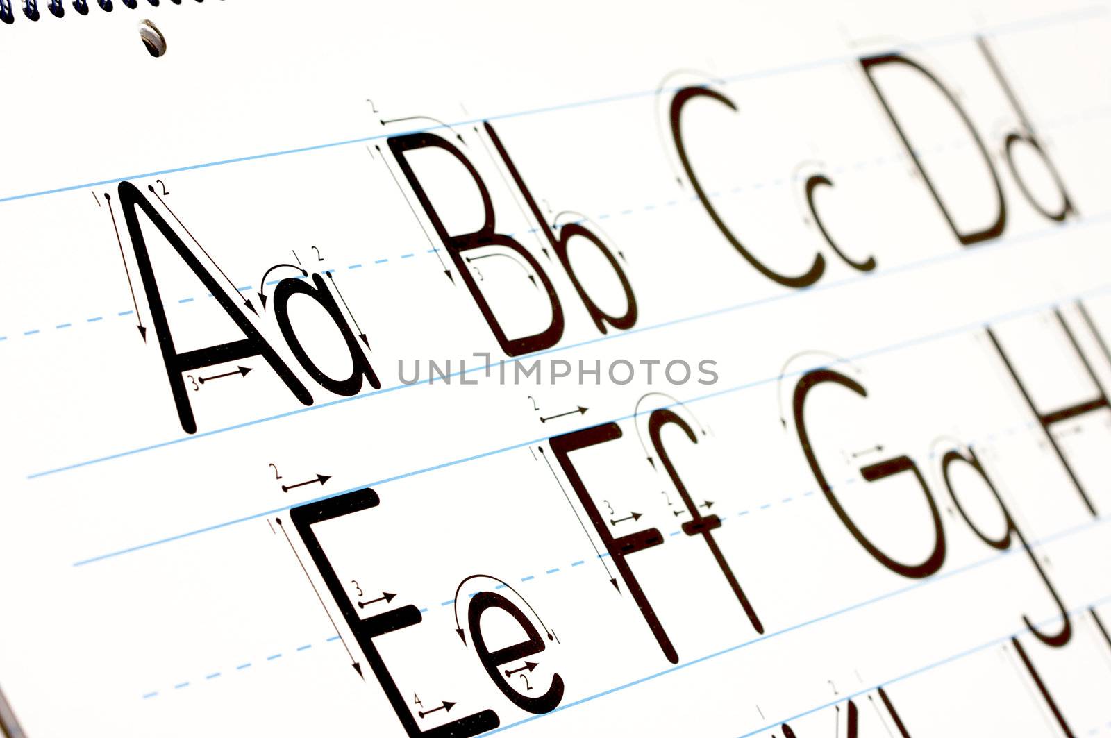 Back to School Learning Letters Chart