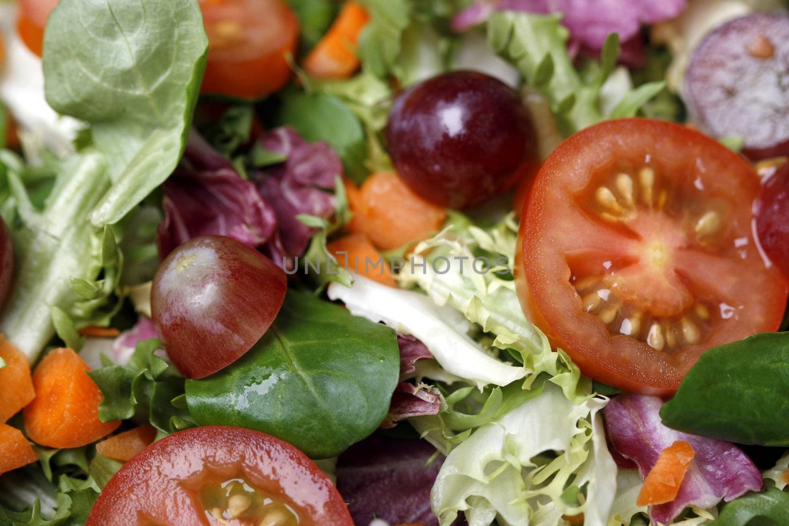 Delicious fresh and healthy salad with lettuce and tomatoes