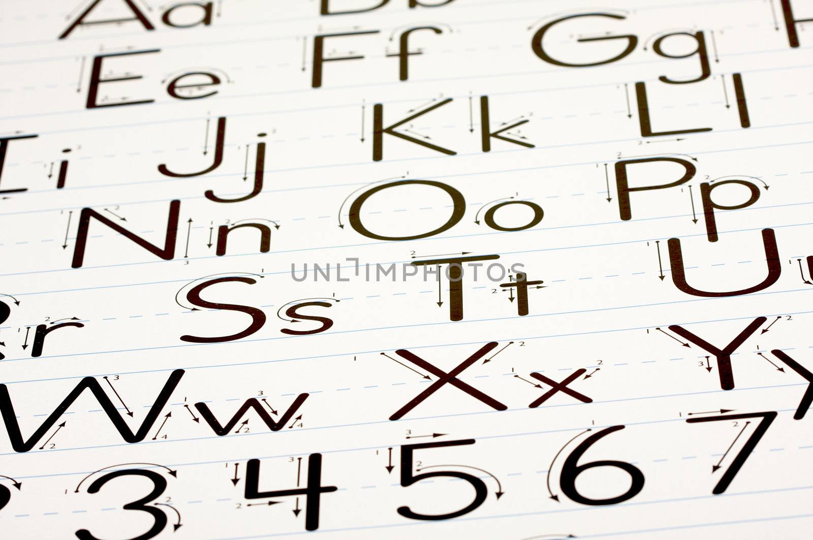 Back to School Learning Letters Chart