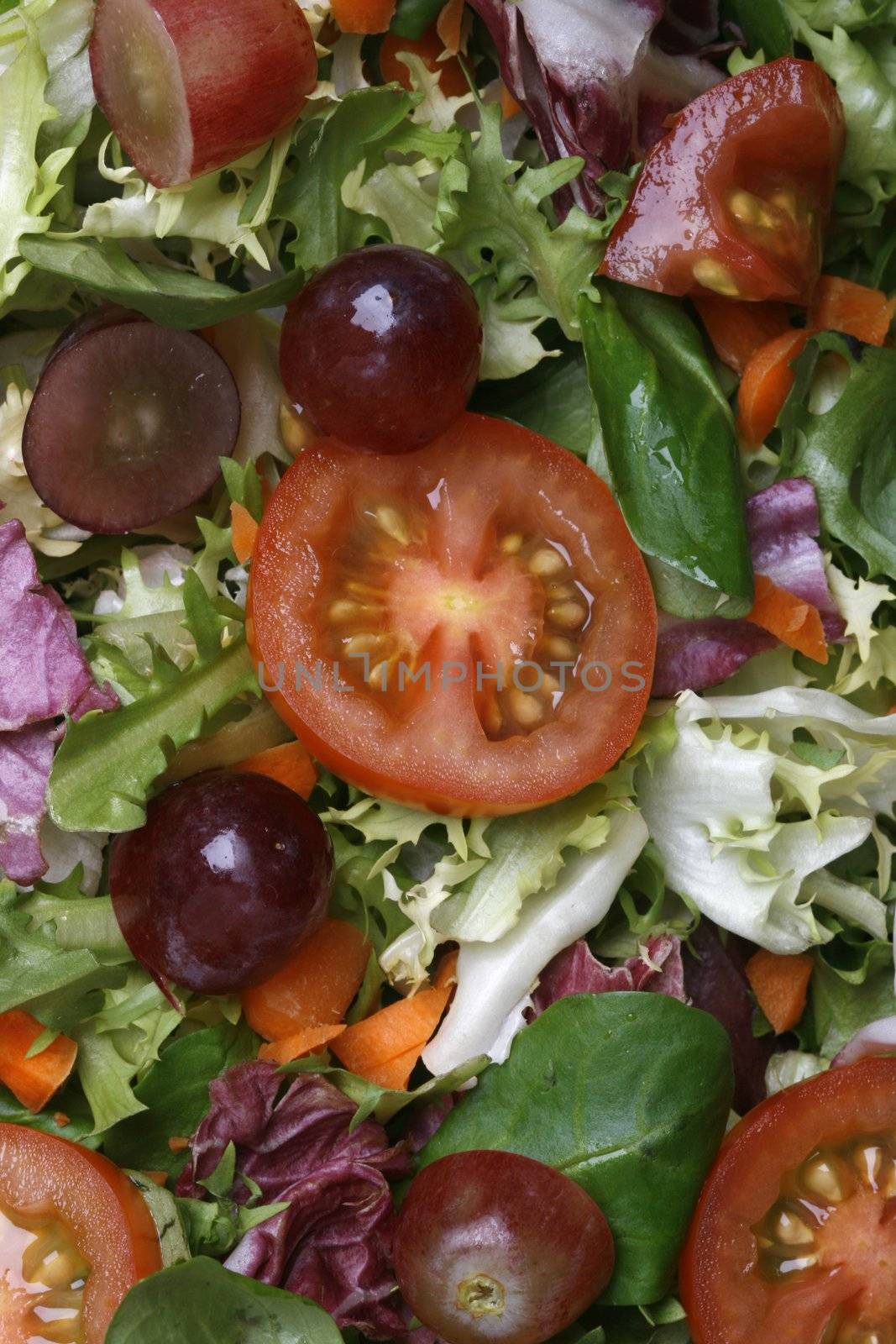 Delicious fresh and healthy salad - macro