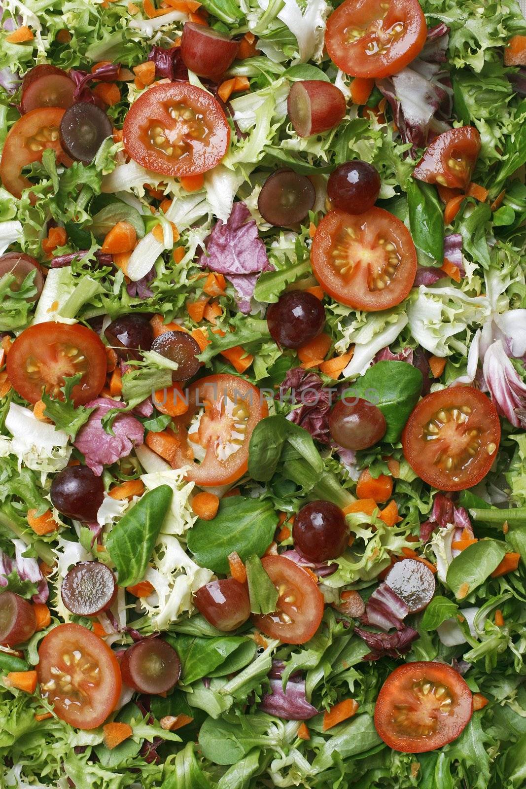 Delicious fresh and healthy salad - perfect as a food related background