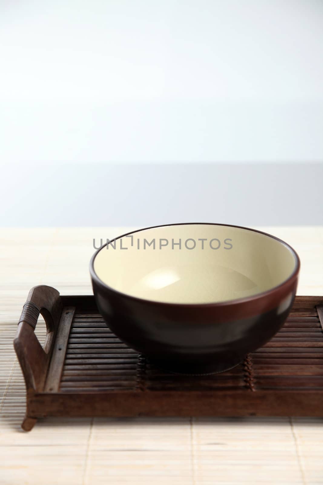 shot of the bowl on the tray