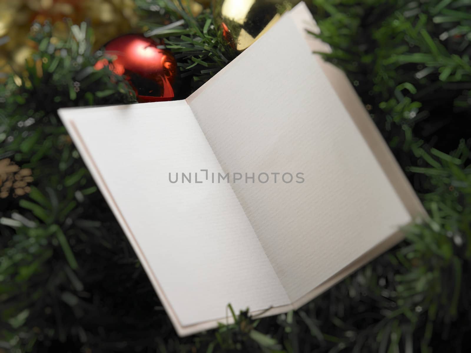 blank card on the green christmas tree