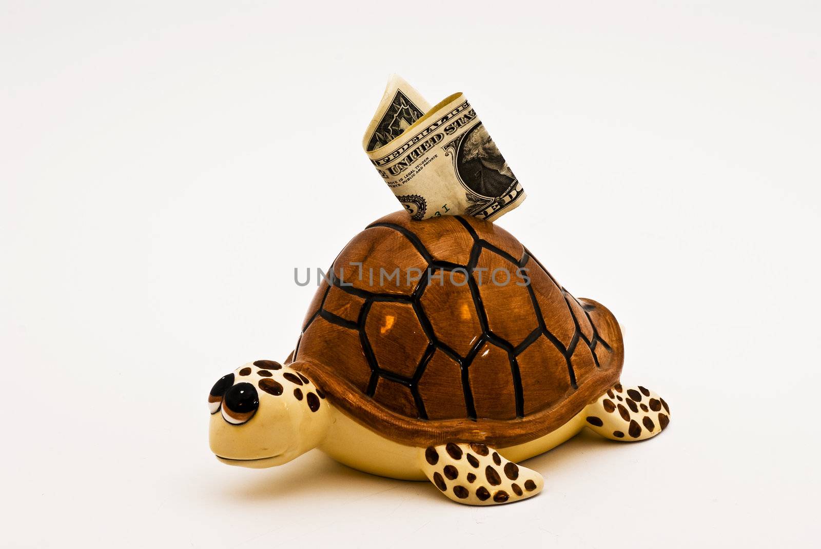 A piggybank in the shape of a turtle on white background