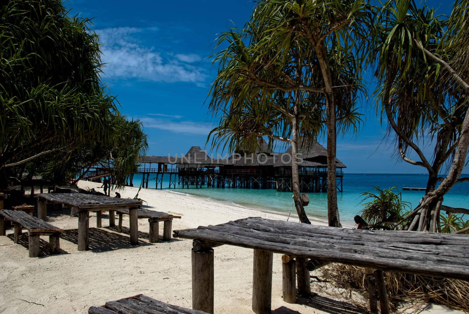 Scene from a sunny and warm beach in Zanzibar