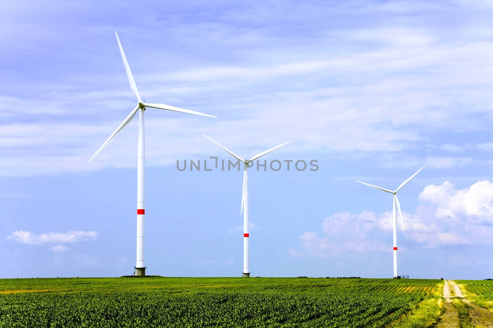 Wind turbines farm. Alternative energy source.