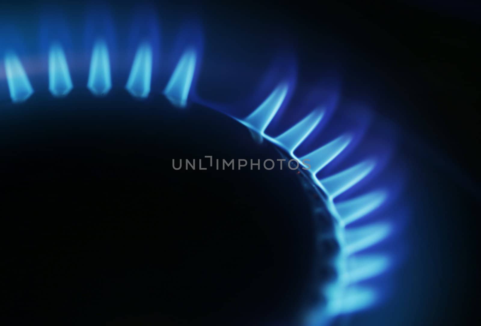 close-up of gas flames on a stove