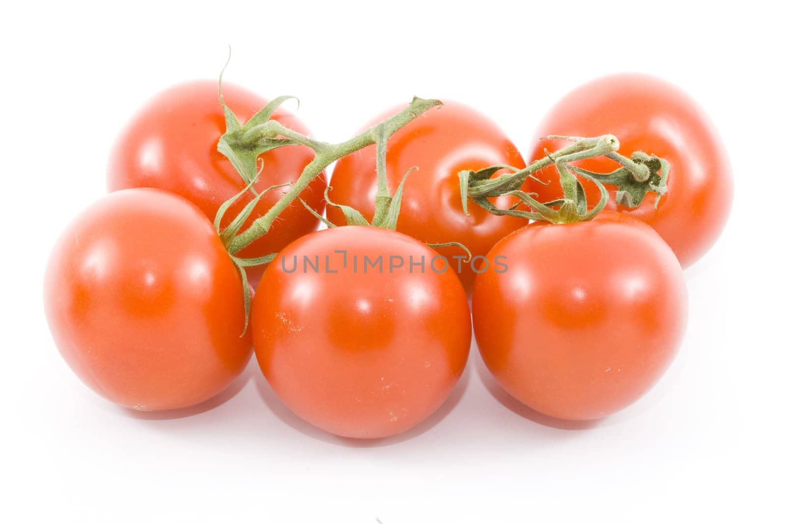 a group of six tomatoes - vegetables - close up