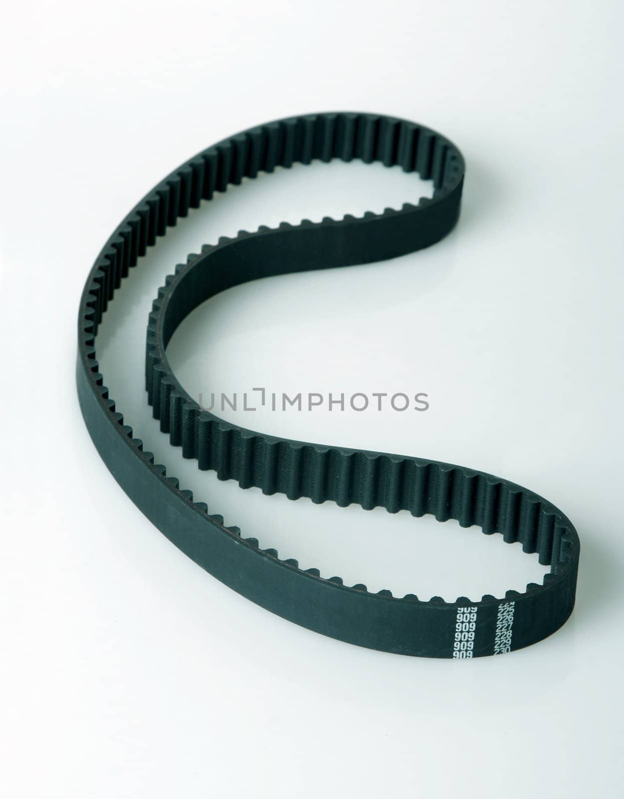 Car belt isolated on light background