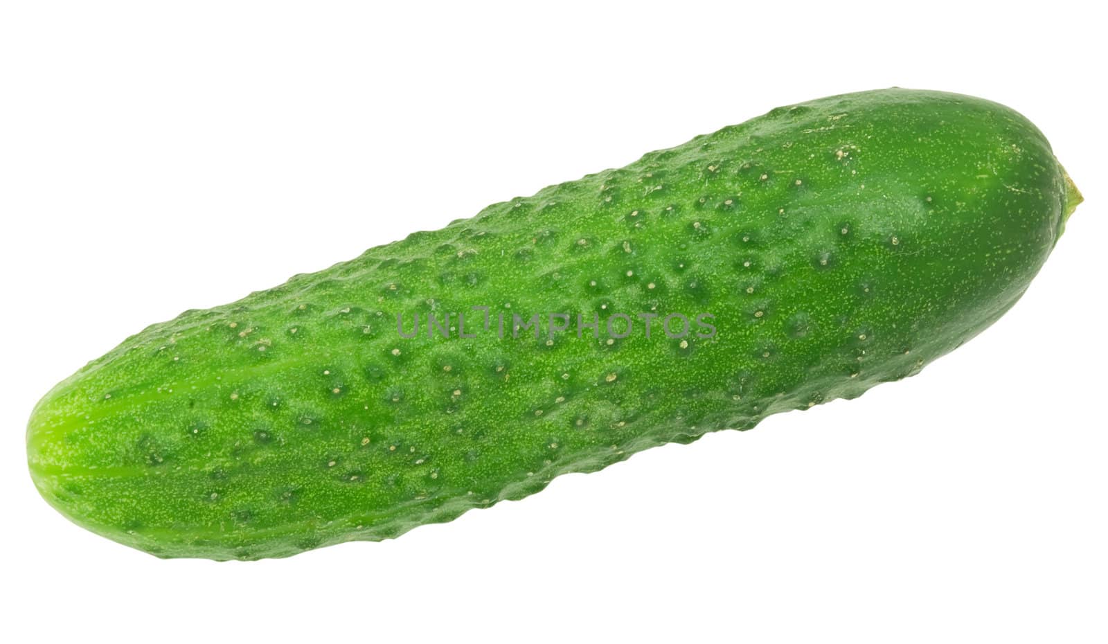 nice fresh green cucumber isolated over white