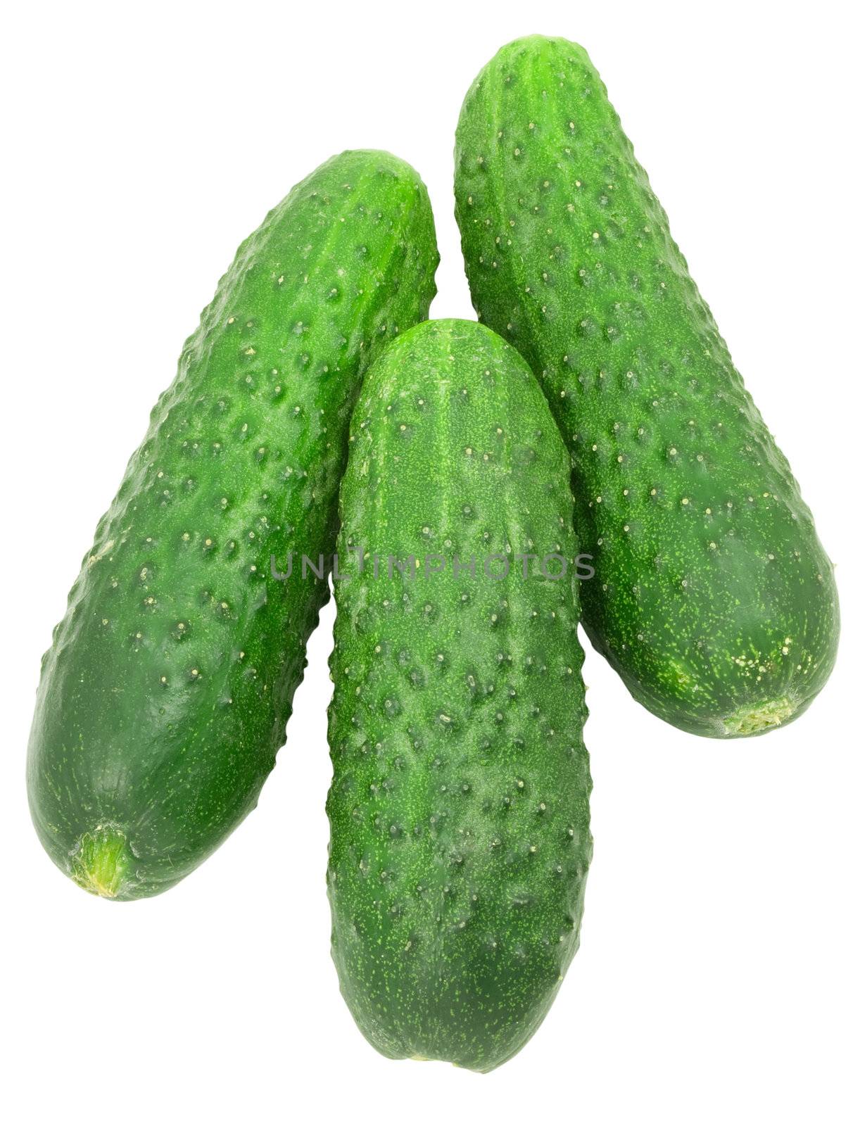 fresh nice green cucumbers isolated over white