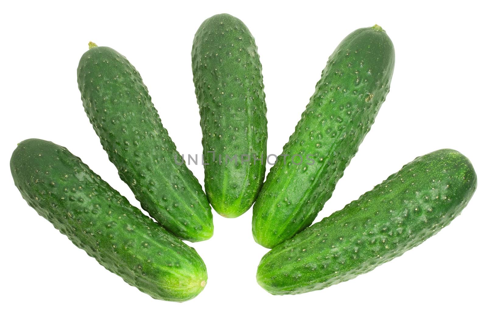 cucumbers by Zloneg