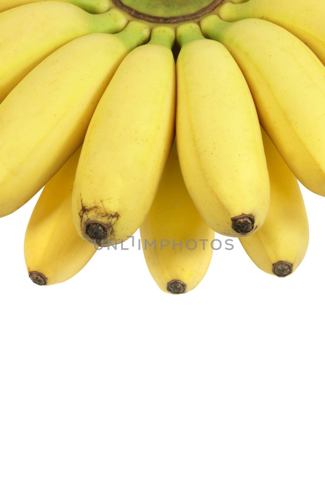 Banana by Zloneg
