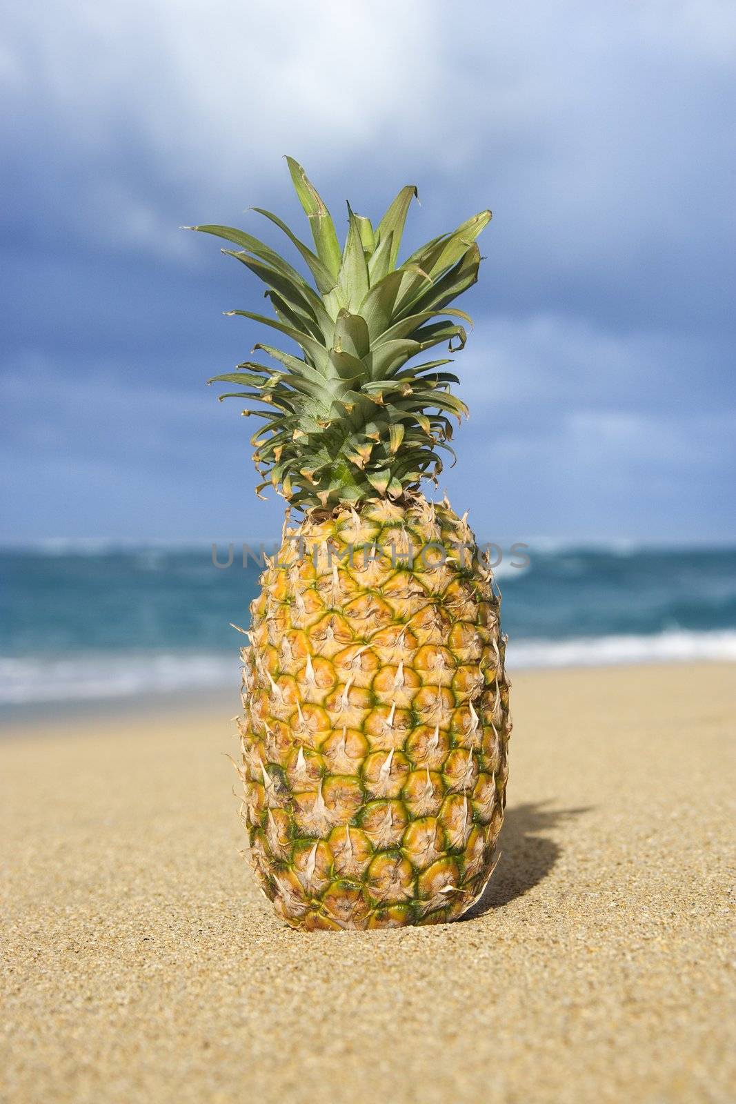 Pineapple on tropical beach. by iofoto