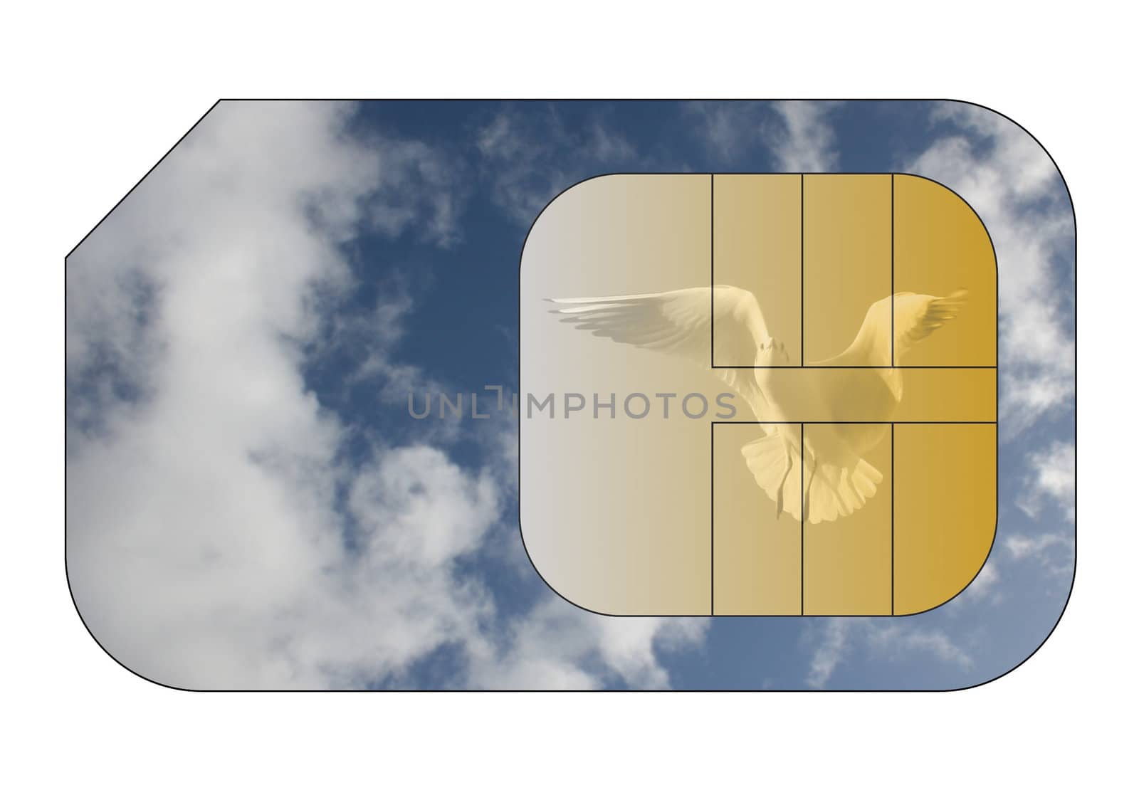 Cell phone sim card with cloudy sky and seagull overlay