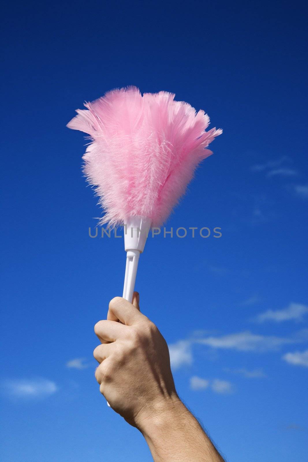 Hand holding feather duster. by iofoto