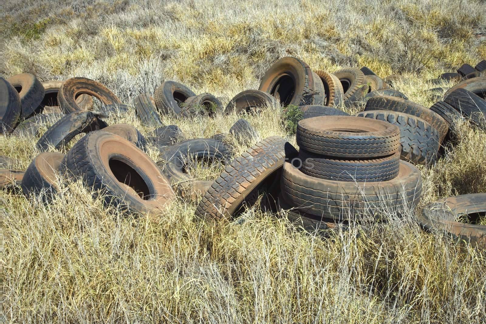 Abandoned tires in field. by iofoto
