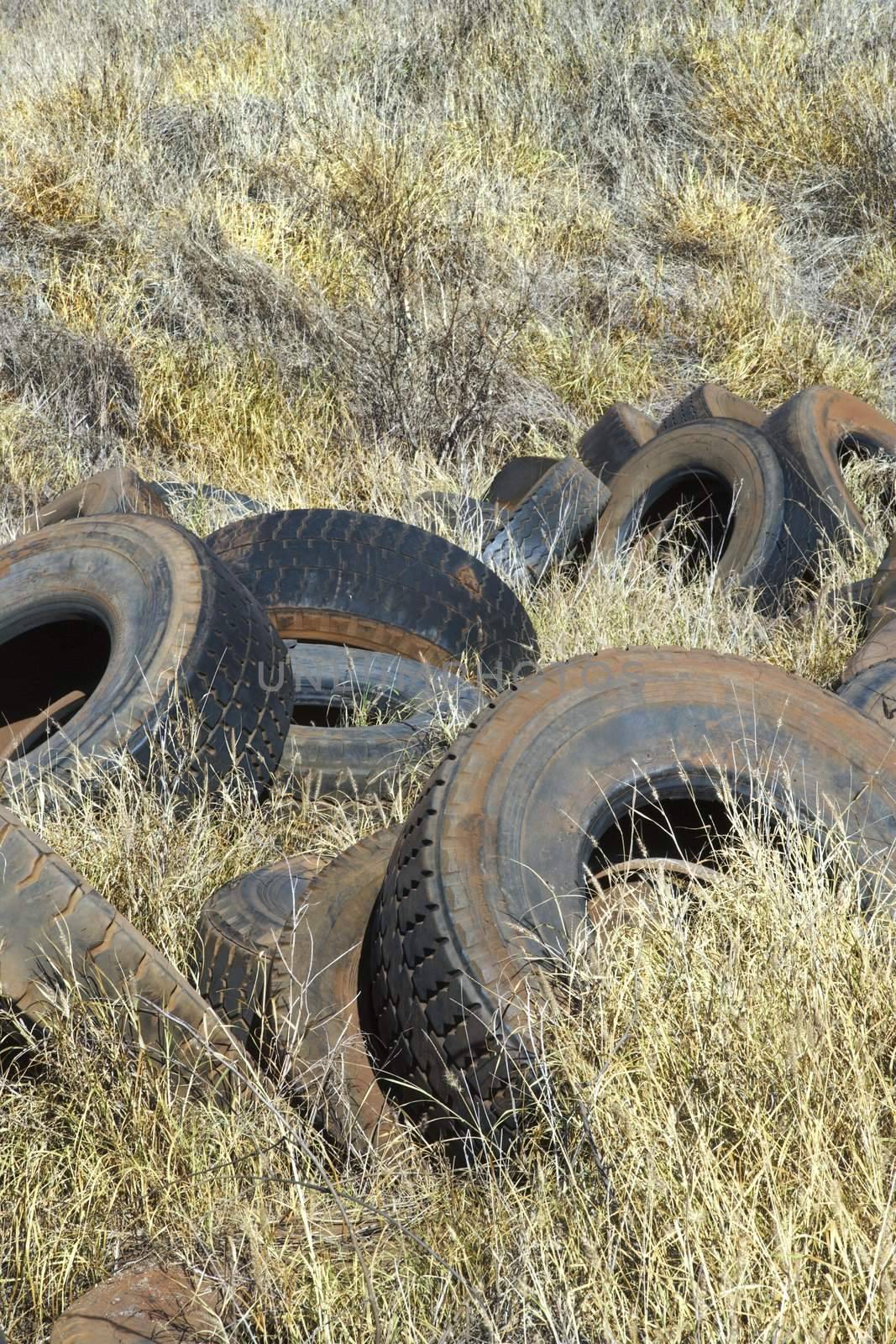 Old dirty abandoned tires in field.