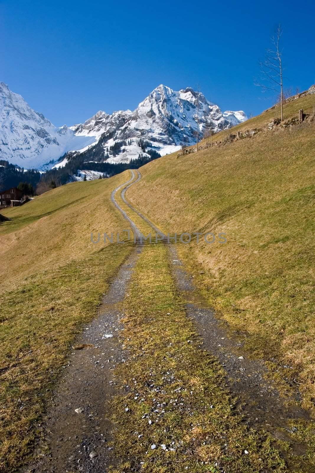 Landscape : Dirt path on a mountain in Switzerland