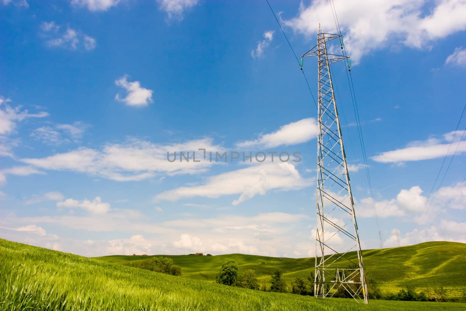 Powerline on a wide green field. Environment care.